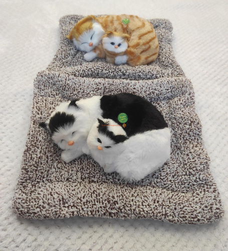 "Кошка с котенком" во Аше