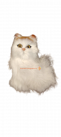 Кот из меха средний во Аше