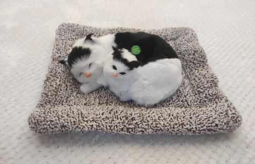 "Кошка с котенком" во Аше фото 2