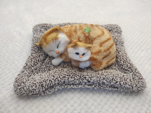 "Кошка с котенком" во Аше фото 3