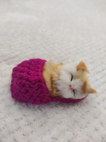 "Кот в тапке" во Аше фото 3